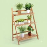 Plant stand for home buy online