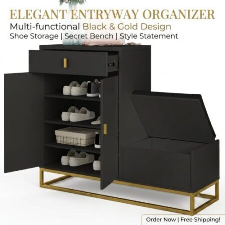 Shoe organizer cabinet in black colour