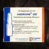Androne Testosterone Enanthate 250mg Price in Pakistan
