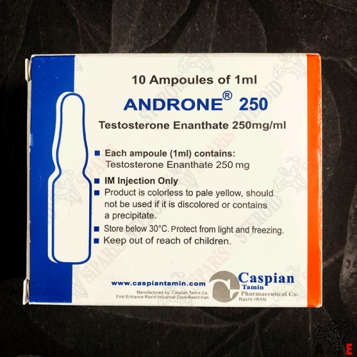 Androne Testosterone Enanthate 250mg Price in Pakistan