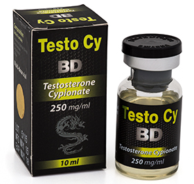 TESTO CY 250mg/ml BD Pharma Price in Pakistan